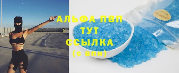 экстази Бородино
