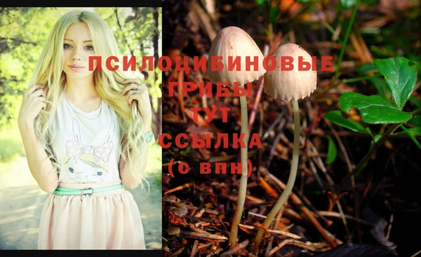 трава Бронницы