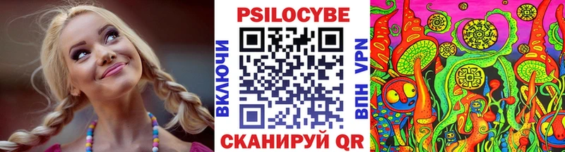 ссылка на мегу рабочий сайт  мориарти официальный сайт  Псилоцибиновые грибы Psilocybe  Кирово-Чепецк 